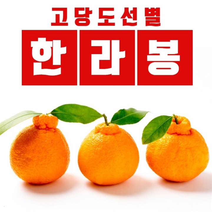  [대박할인] 제주 화산토 재배 한라봉 천혜향 레드향 3kg 5kg 10kg 선물세트 34,500 원 1% 할인