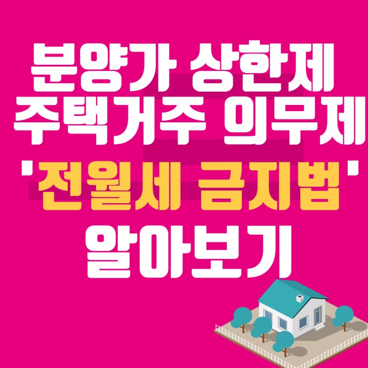  2월 19일부터 실시 <전월세 금지법> 무주택자 필독! / 분양가 상한제 주택거주 의무제