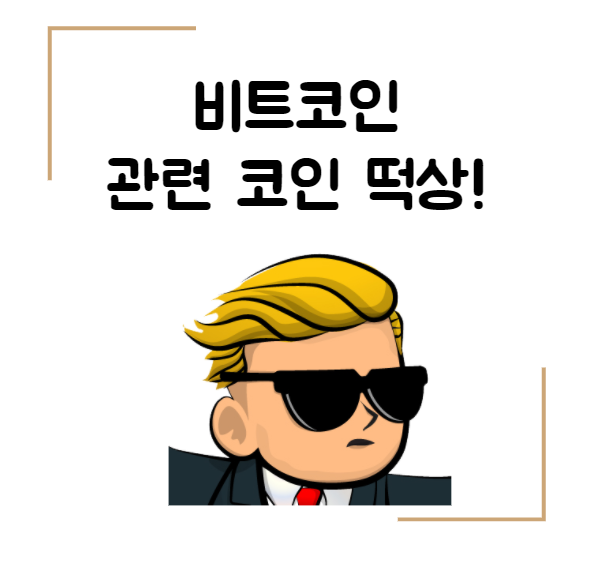  [오늘의 비트코인] 비트코인 5200만원 돌파 / 비트코인관련 코인들 떡상중?