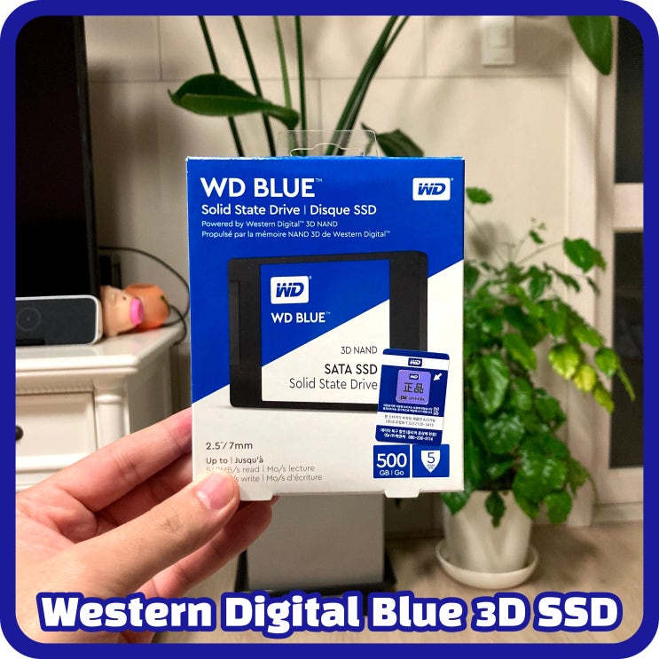  가성비가 좋은 SSD를 찾는다면? WD(Western Digital) Blue 3D SSD 500GB 리뷰