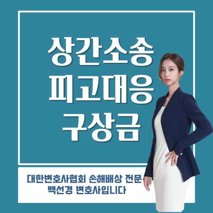  [상간소송] 상간소송 구상금(구상권) 소송