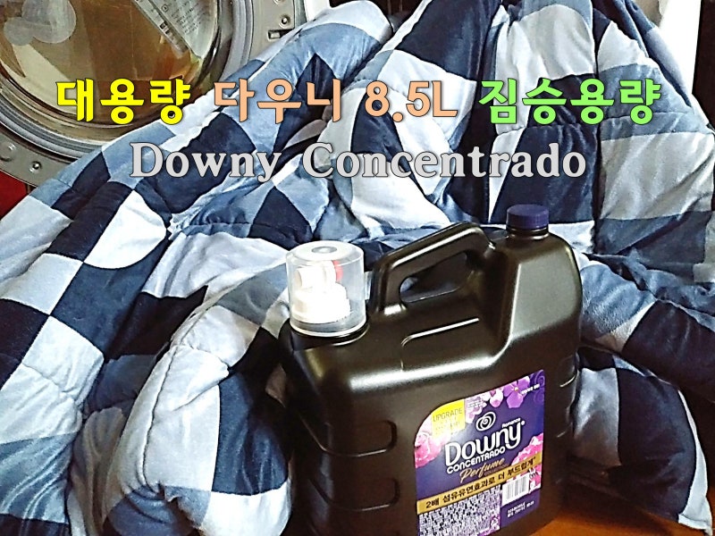 대용량 다우니8.5L 섬유유연제 짐승용량 대면(對面)