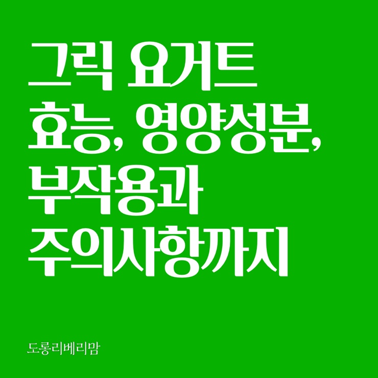  그릭요거트 효능 다이어트에 대해 알아보아요!