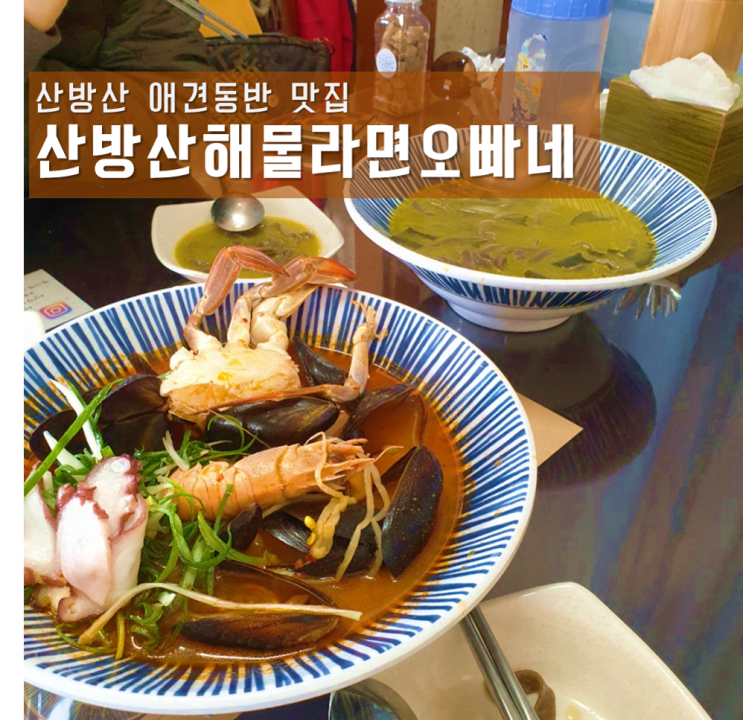  서귀포 애견동반 식당 : 산방산해물라면오빠네 후기