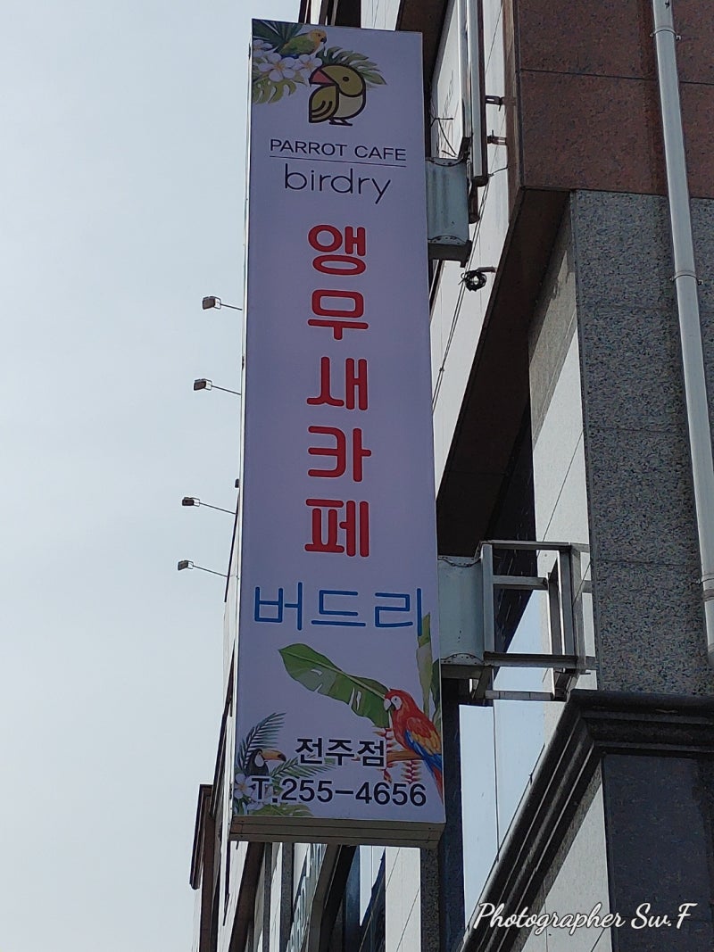 사진 2