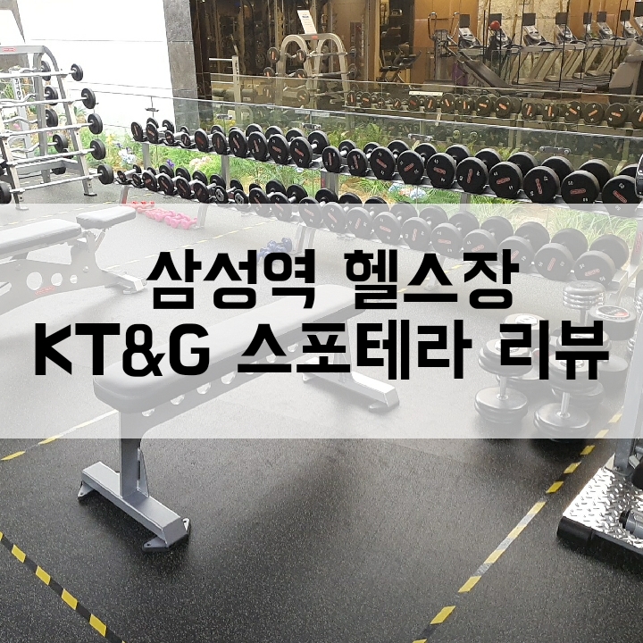 [삼성역 헬스장] KT&G스포테라/다양한 운동기구와 호텔급 사우나