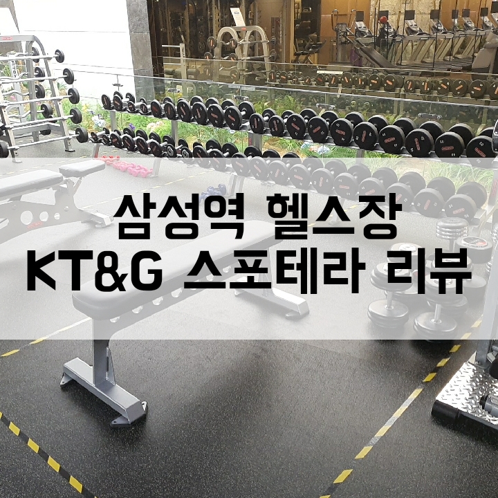  [삼성역 헬스장] KT&G스포테라/다양한 운동기구와 호텔급 사우나
