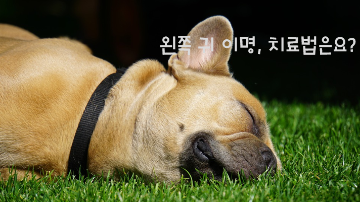  왼쪽 귀 이명, 치료법은요?