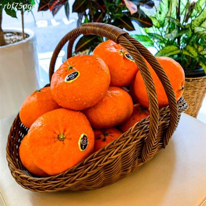  [특가제품] 제주 레드향 대과 고당도 프리미엄 3kg 5kg 설 명절 선물세트 39,800 원 ~*