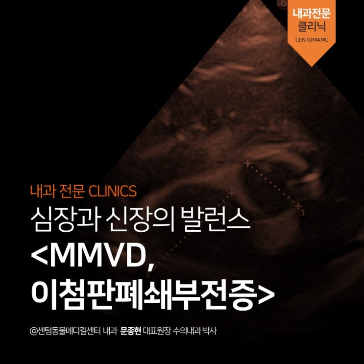  <강아지 MMVD,이첨판 폐쇄부전증> 심장과 신장의 발런스 (노령견 심장병 전문 동물병원 센텀동물메디컬센터, 심장 초음파, 약물 조정)