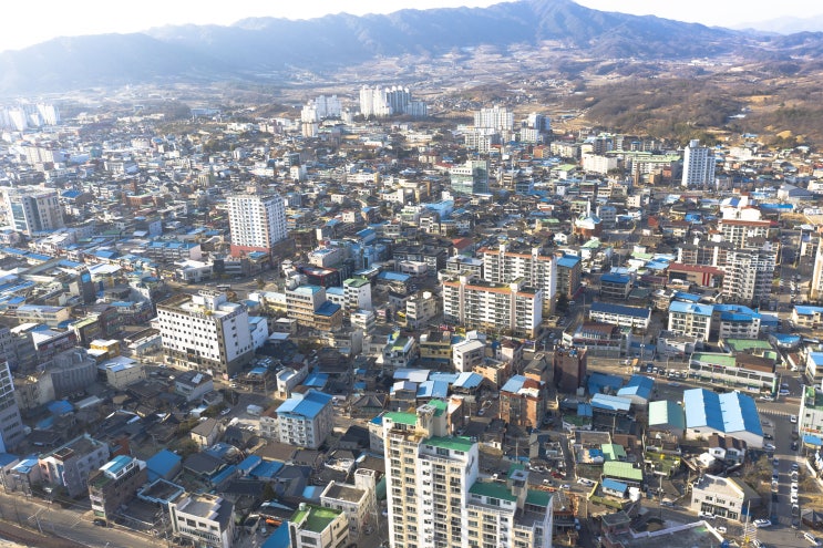 당신은 정부의 호구다. 부산 초읍 동부센르럴 프리미어 어떻게 생각해요?