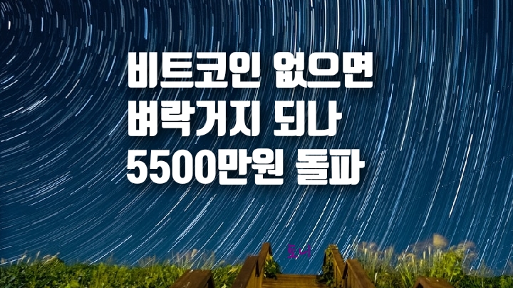 비트코인이 미쳤다. 5500만원 돌파. 월가도 투자 나선다. 비트코인 없으면 벼락거지 되나