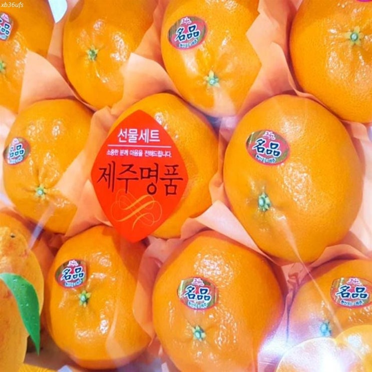  [추천특가] 달달과수원 달달한 레드향 선물세트 3kg 특품 70,800 원 