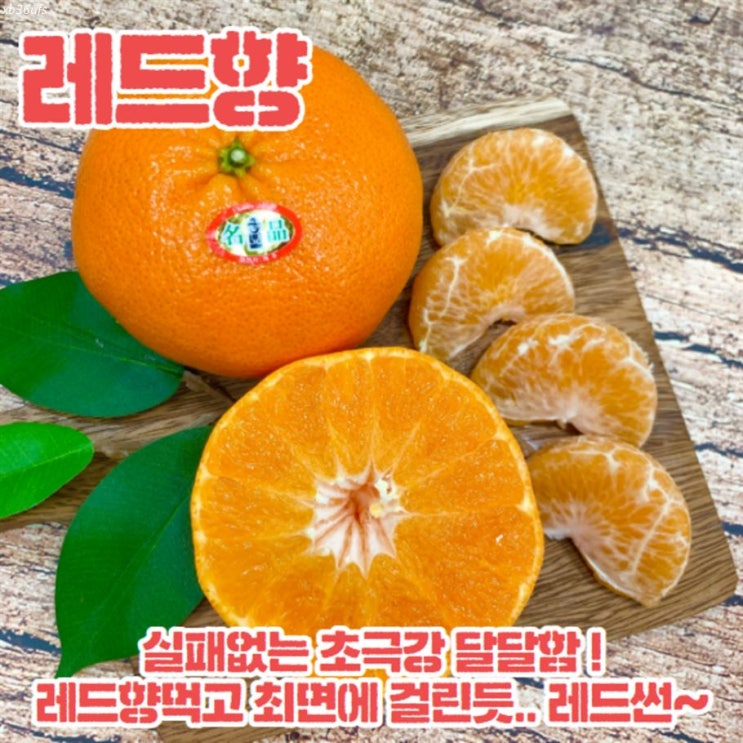  [대박할인] 레드향 제주도 새콤달콤 레드향 3kg 가정용 선물세트 추천 39,900 원 