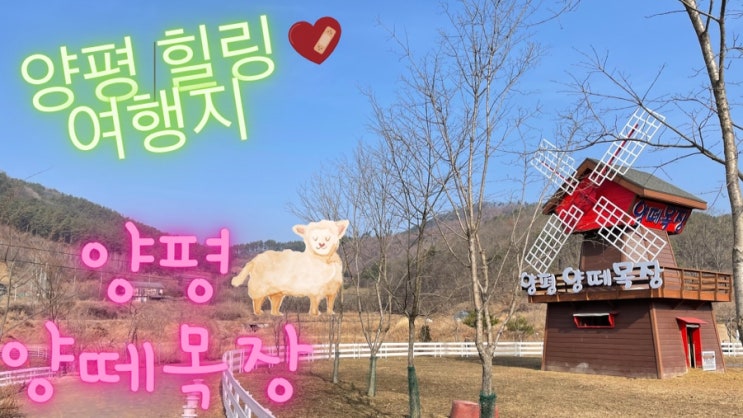  코로나 시기에 다녀오기 좋은 양평의 힐링 여행지! 양평 양떼목장을 소개합니다~(아이와 함께하기 좋은 여행지)