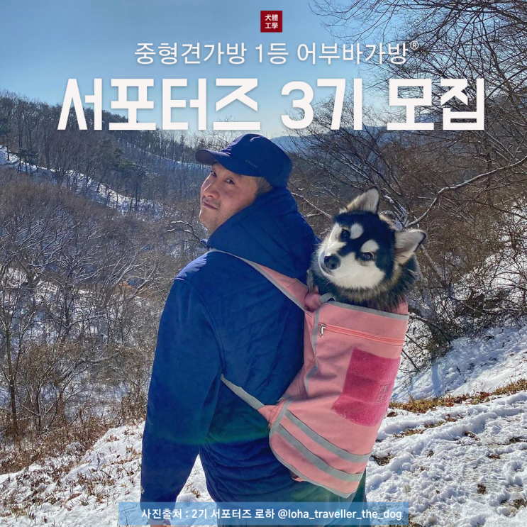  어부바가방 서포터즈 3기 모집중