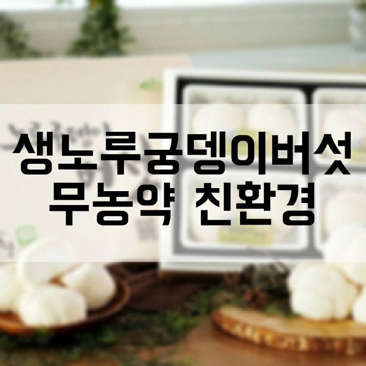  지리산 생노루궁뎅이버섯 무농약 친환경