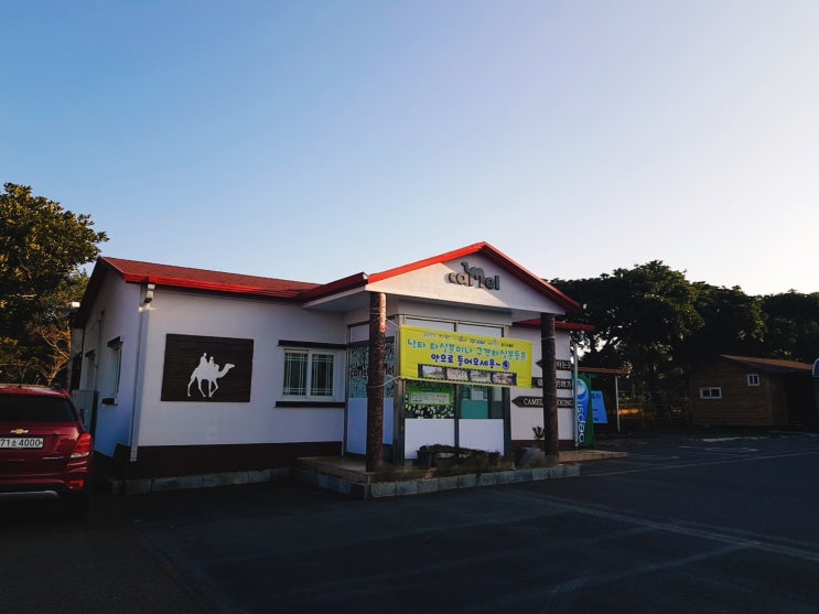  [제주 표선 낙타트래킹] 가성비 정말 좋은 아이들과 낙타타기체험!