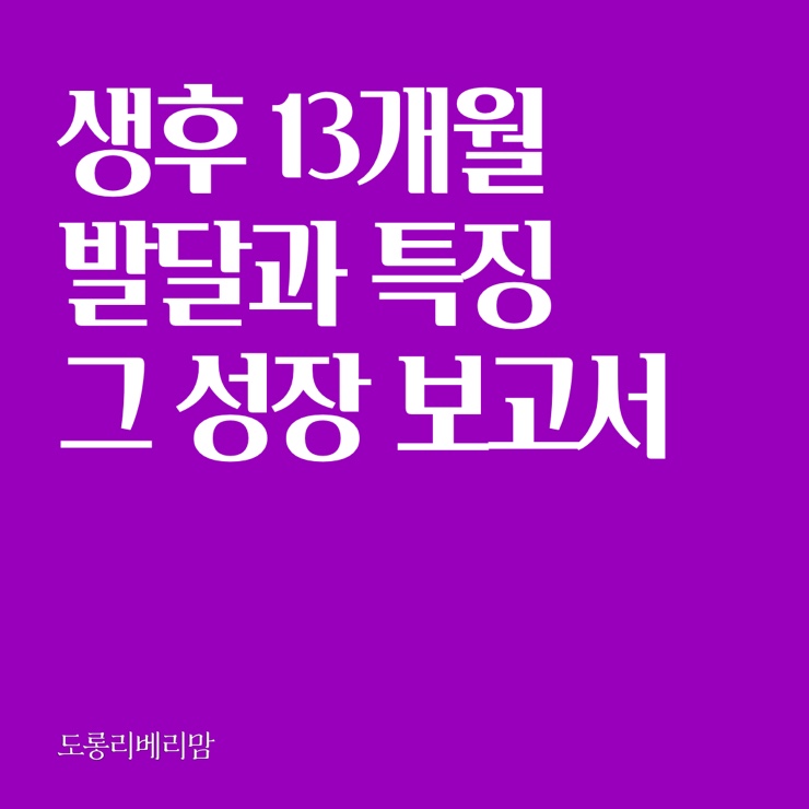 13개월 성장 이유식 인지발달의 모든것