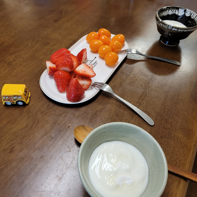  아침 요플레