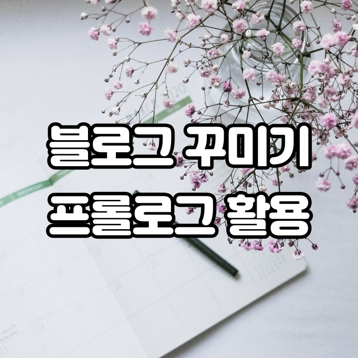  블로그 꾸미기 프롤로그 활용해 보세요!