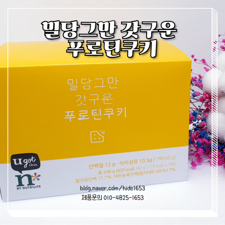  암웨이 밀당그만 갓구운 푸로틴쿠키(단백질, 프로틴)