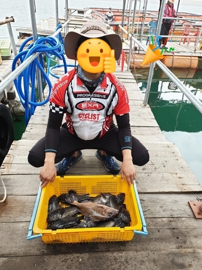  도비도 와따좌대 번외편(내가 와따좌대를 가는 이유)