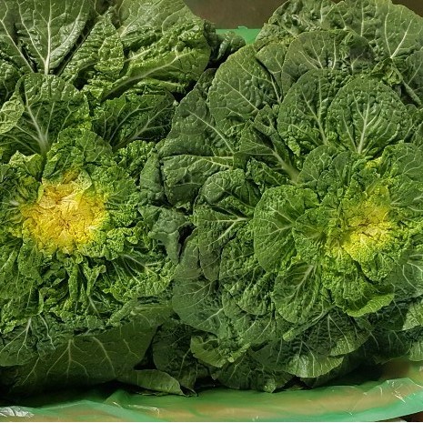 선택고민 해결 (특품) 국내산 제철 봄동 1kg ~ 좋아요 선택고민 해결 (특품) 국내산 제철 봄동 1kg ~ 좋아요