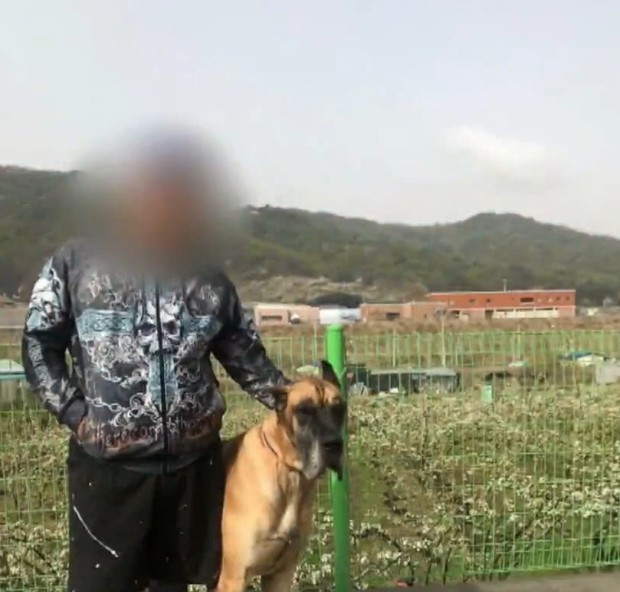 빅보스맨 경찰에 고급차 상납 유사수신행위 pd수첩 빅보스맨 경찰에 고급차 상납 유사수신행위 pd수첩