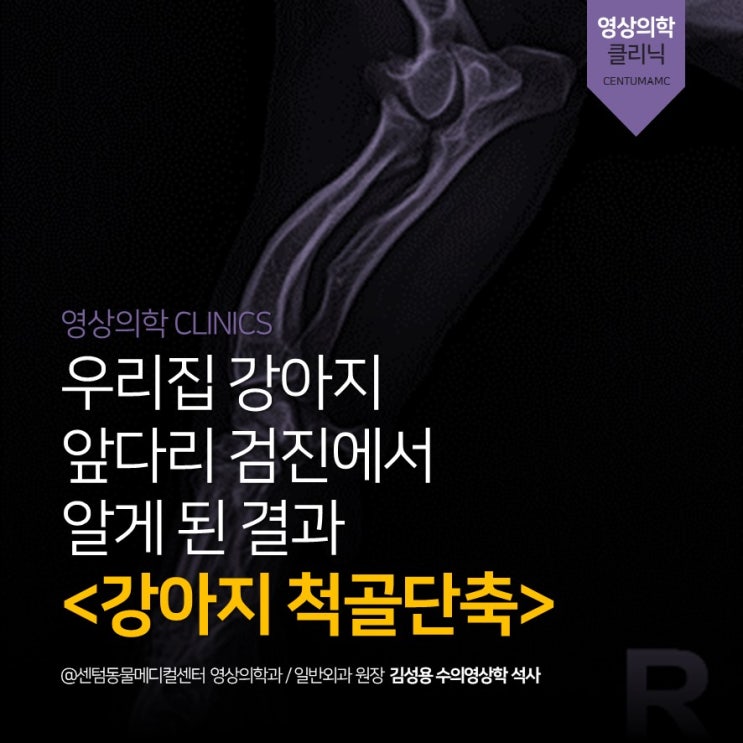  [영상전문진단] 3살 강아지 척골단축, Ulnar shortening (부산 석박사 분과협력진료 동물병원, 센텀동물메디컬센터)
