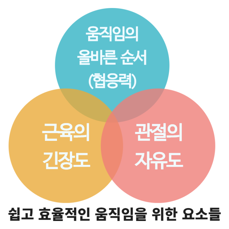  [공지] 소도구 스트레칭 온라인 PT 1기 안내