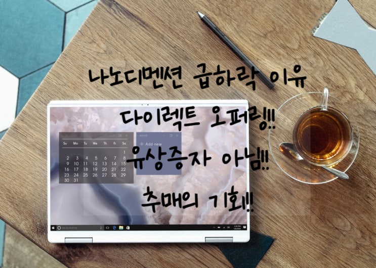  나노 디멘션(NNDM) 2월15일 미국장 급하락 이유. 다이렉트 오퍼링