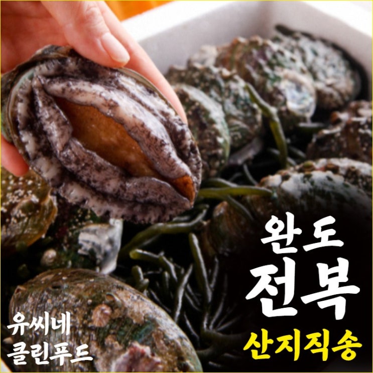 가성비 뛰어난 완도 산지직송 활 전복 선물세트 선물용 특대 500g 1kg, 07번 1kg(대) 19~20마리 추천합니다 가성비 뛰어난 완도 산지직송 활 전복 선물세트 선물용 특대 500g 1kg, 07번 1kg(대) 19~20마리 추천합니다