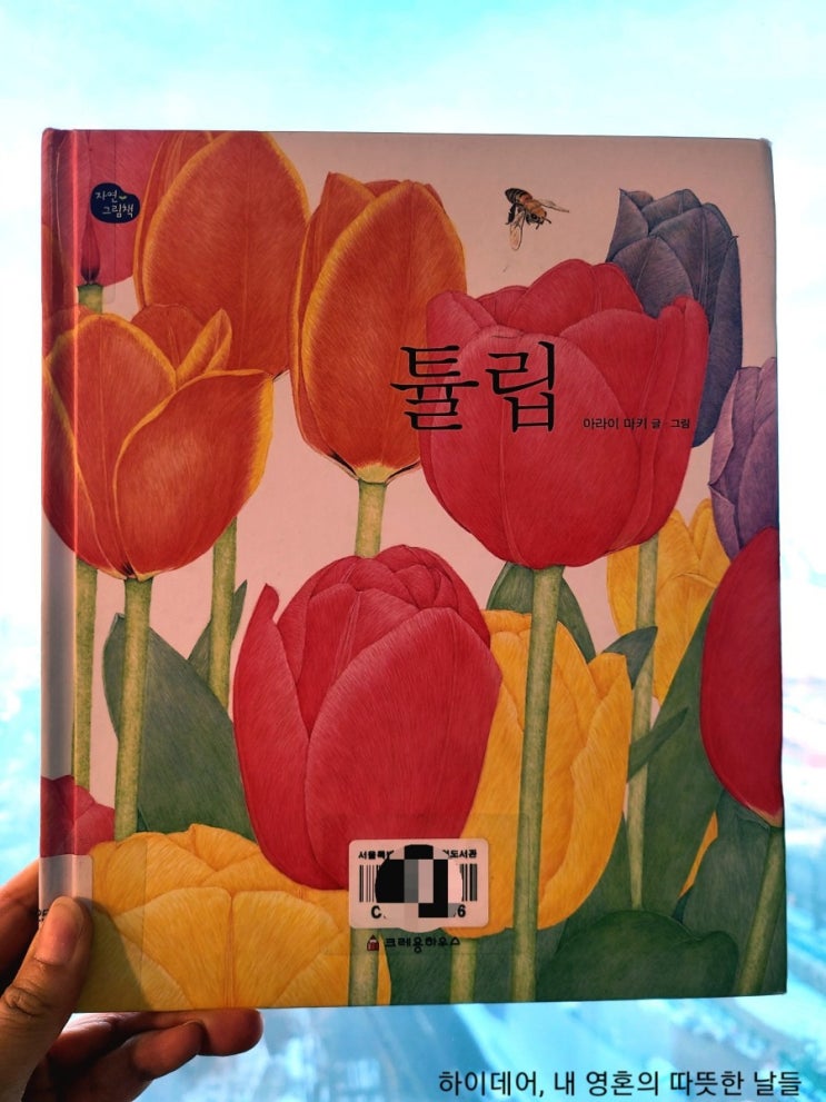  튤립_추운 겨울 속에서 따뜻한 봄을 꿈꿉니다