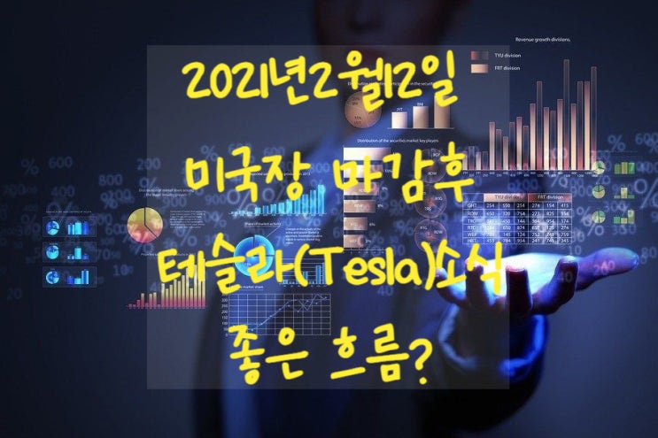  테슬라(Tesla): 2021년 2월 12일 미국장 마감후. 테슬라 소식.