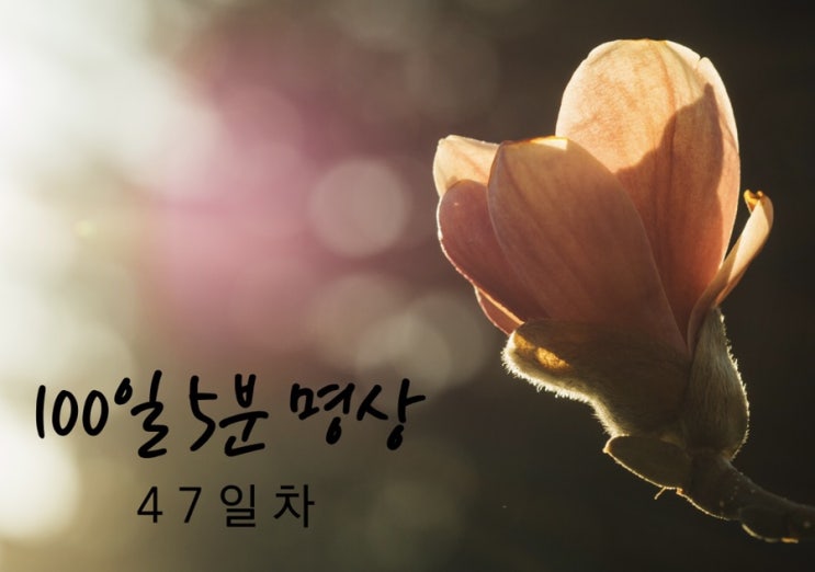  루틴의 저력 vs. 일탈의 매력