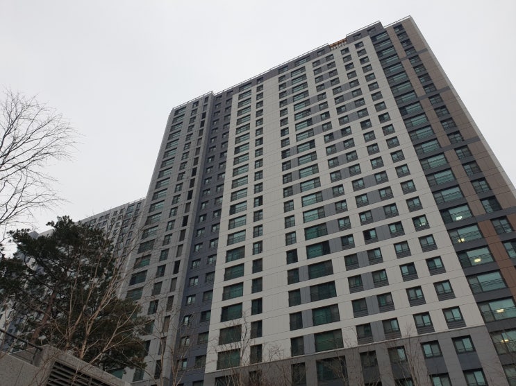 우리나라에 아파트 집주인이 중국인, 외국인 많아지고 있다(부동산)