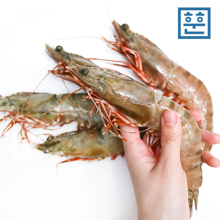 인지도 있는 훈훈 킹 블랙타이거새우 1kg (킹타이거), 1팩, 퀸블랙타이거6-7미1kg ··· 인지도 있는 훈훈 킹 블랙타이거새우 1kg (킹타이거), 1팩, 퀸블랙타이거6-7미1kg ···