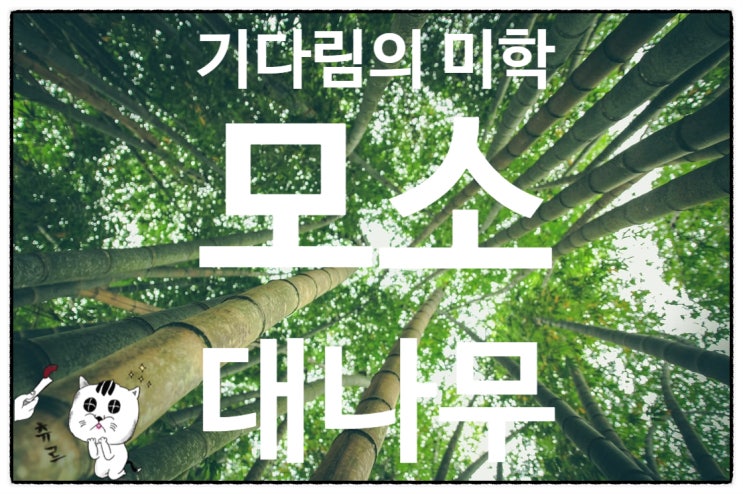  모소대나무. 코로나를 극복하는 자세! 자작시 좋은시
