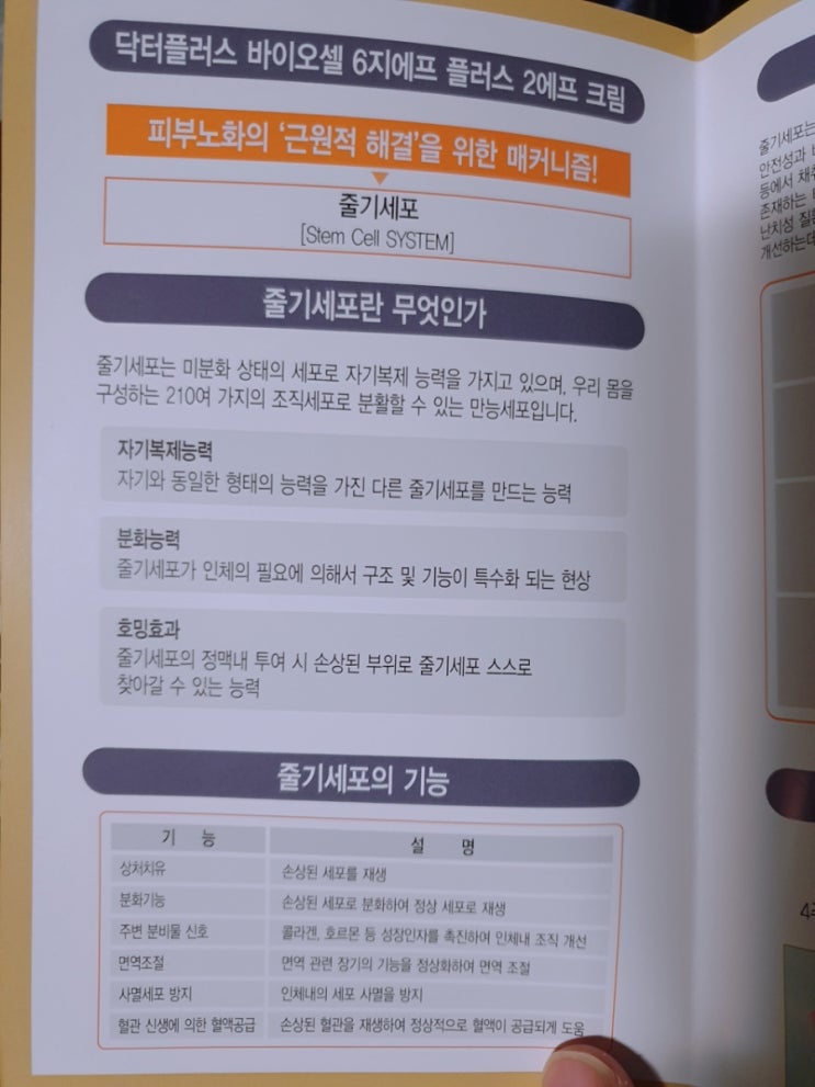  닥터플러스 바이오셀 6지에프 플러스 2에프 크림 개봉 후기 <1탄>