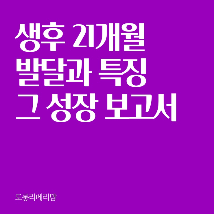  생후21개월 발달과 특징 그 성장보고서