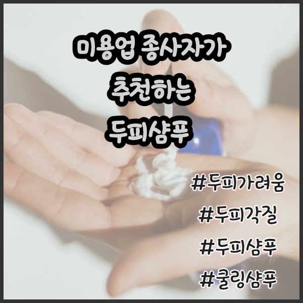 니옥신샴푸 두피관리 한방에 정리한다