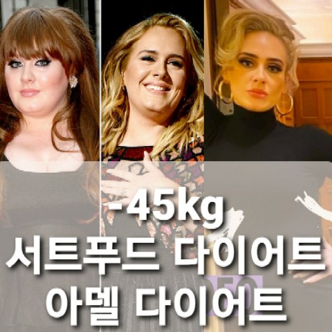  서트푸드 다이어트, 들어보셨나요? 제가 상세히 알려드릴게요