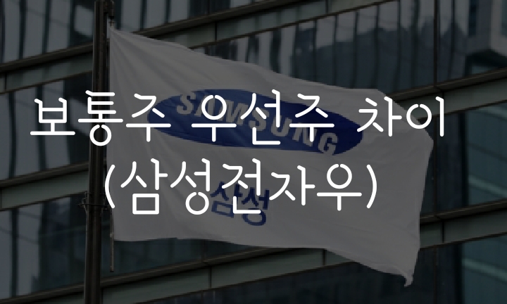 삼성전자우로 알아보는 보통주 우선주 배당금 차이(삼전우 20년 배당금)