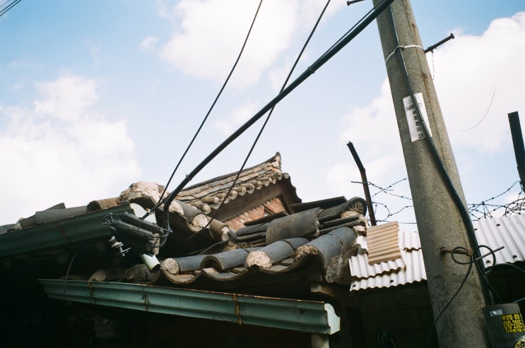  롤라이 QZ35W 첫 롤 (익선동, 종묘)