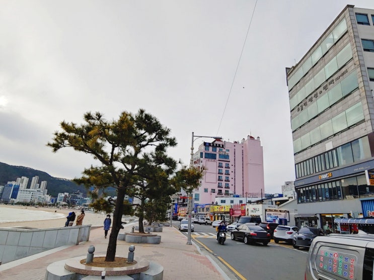  송정 펜션 해수욕장 뷰 가 좋았던 바다뷰 펜션