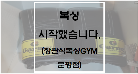  [운동] 복싱 시작했습니다(장관식복싱GYM 분평점)