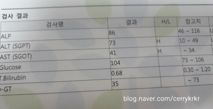  간초음파검사 후기 비용(지방간 진단 수치.AST.ALT)