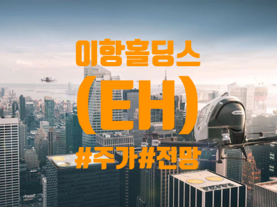  이항 홀딩스 (EH) 주식, 주가 및 전망 총정리 - UAM 드론 관련주