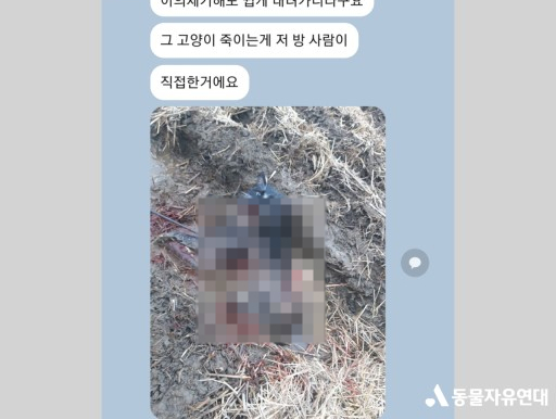  고어전문방, 애니멀 n번방 고소 방법 및 처벌 수위는?